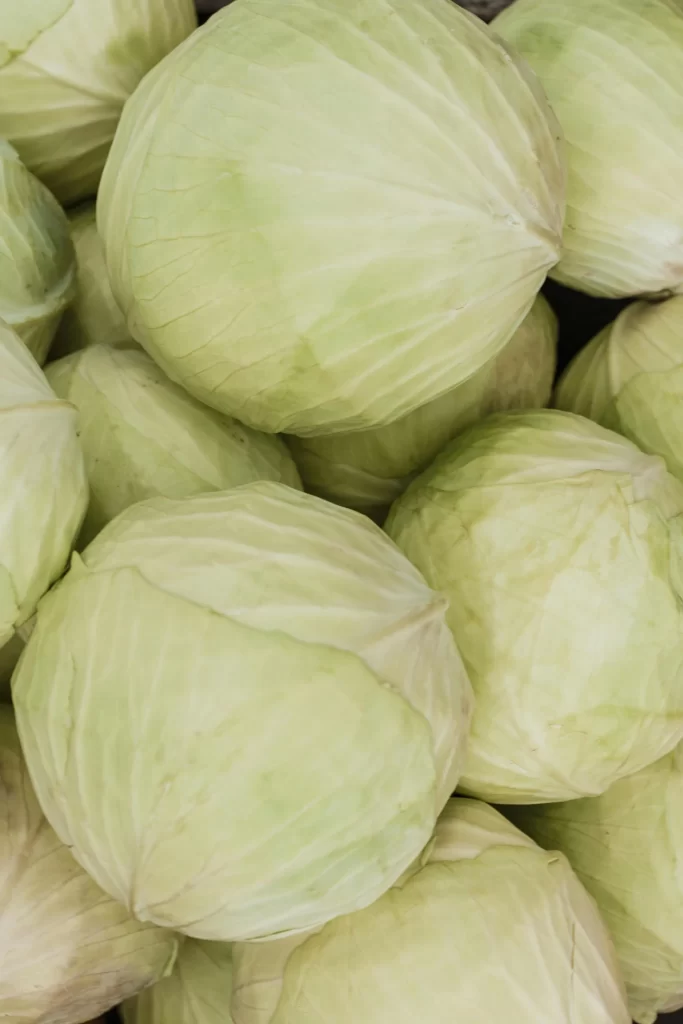 Cabbage - indian food to lower creatinine level 