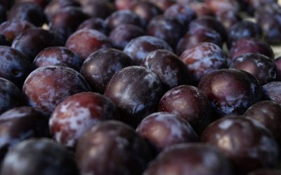 Can You Eat Plums During Pregnancy? Benefits, Tips, and Types