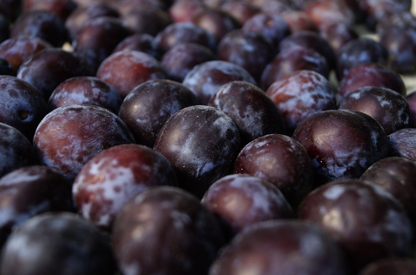 Can You Eat Plums During Pregnancy? Benefits, Tips, and Types