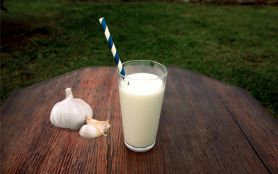 Garlic Milk Benefits: A Simple Guide To Its Benefits and How to Make It?